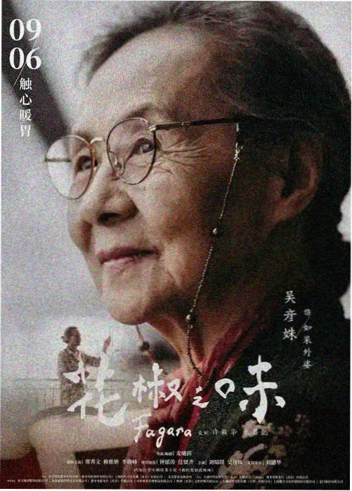 伪纪录片我们村要拍电影的喜剧贴纸封面